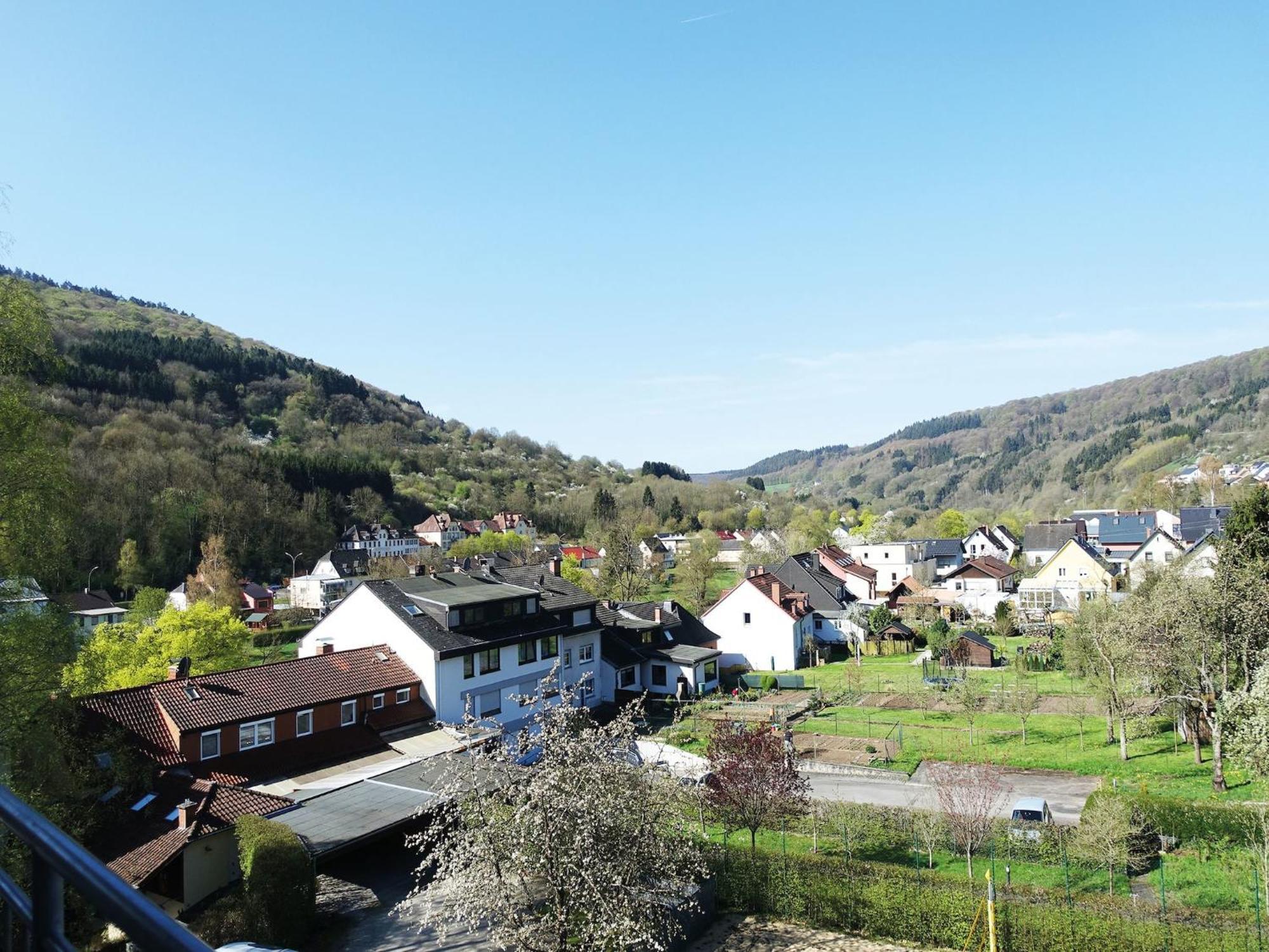 Apartment In Bollendorf With Forest View Buitenkant foto